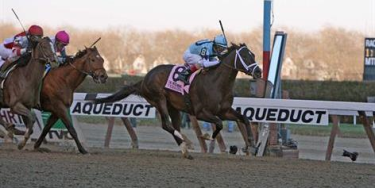 Woodbine racetrack entries 