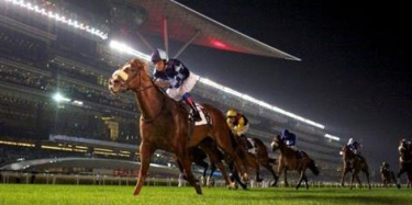 BBreeders Cup Entries Today