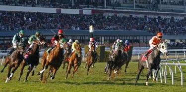 online horse racing sign up bonus