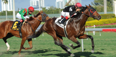 online horse racing canada