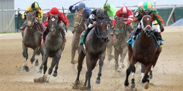 Online horse racing sign up bonus