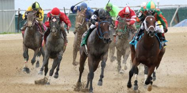 New Online Horse Racing Sites First Deposit Bonus