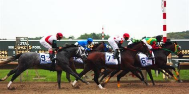 horse racing sign up bonus