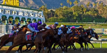 canada horse race betting online