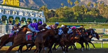 Breeders Cup Entries Today