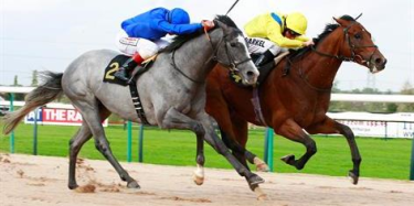 New Online Horse Racing Sites First Deposit Bonus