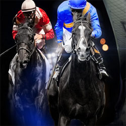 online Horse race betting