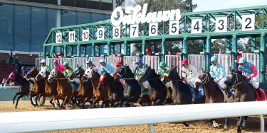 Today's Churchill Downs entries and odds