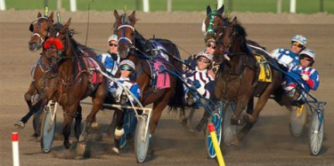 horse racing betting online Keeneland 